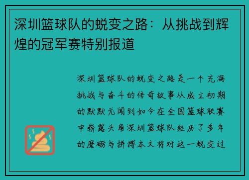 深圳篮球队的蜕变之路：从挑战到辉煌的冠军赛特别报道